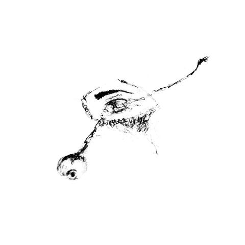 LIVING, SKIN, BONE