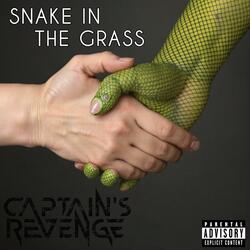 Snake In The Grass (Single)