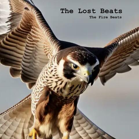 The Lost Beats