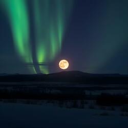 Aurora