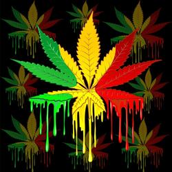 Marijuana leaf