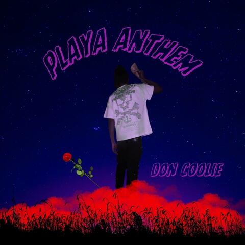 Playa Anthem