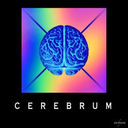 Cerebrum