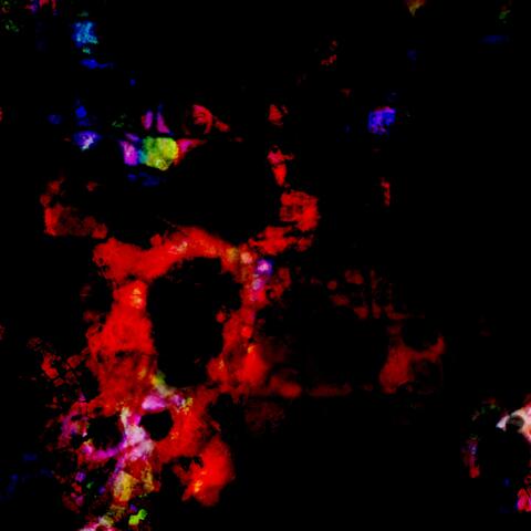 Ritual Salts Revisited