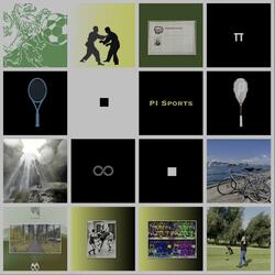 Handbal . Dutch champion