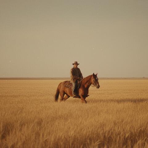 Robert Redford Tribute
