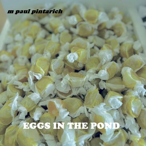 Eggs In the Pond