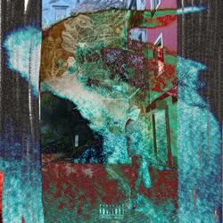 Psilocybin Panspermia