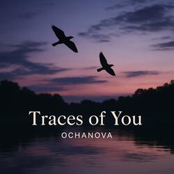 Traces of You