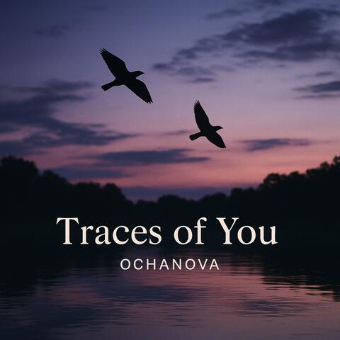 Traces of You