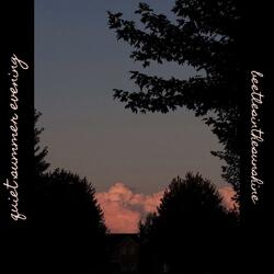 quiet summer evening