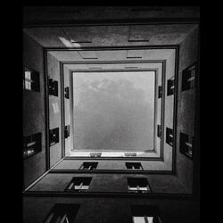 THE NIGHT IS LONG AND I AM SCARED TO DIE