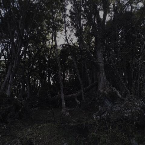 recuerdos de invierno