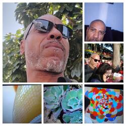 O Blues não Vai te Acompanhar