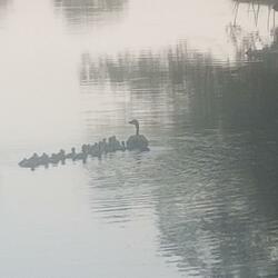 I thirst for You Lord 2