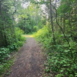 Keep Me In Conversation