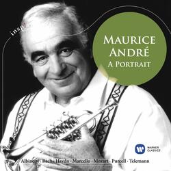 Marcello, A / Arr. Jevtic for Trumpet and Orchestra: Oboe Concerto in D Minor, S. Z799: II. Adagio