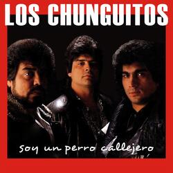 Soy un perro callejero