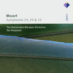 Mozart: Symphony No. 25 in G Minor, K. 183: I. Allegro con brio