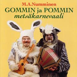 Metsässä on pikku maja