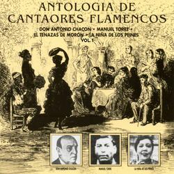 Al son de trompetas roncas (Saeta)