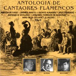 Aunque te den más balazos (Alegrías)