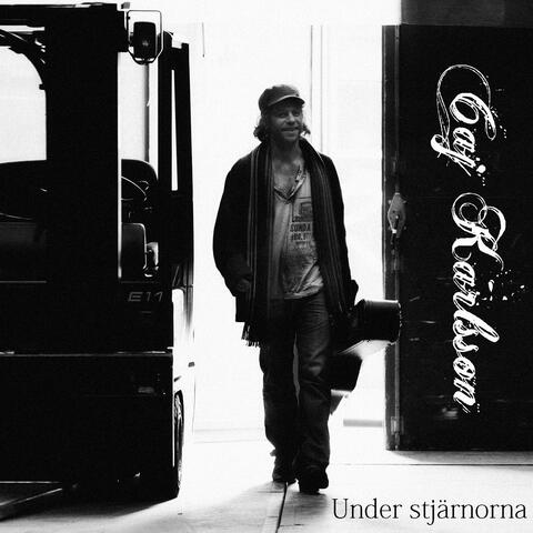 Under stjärnorna (En slags roadmovie)