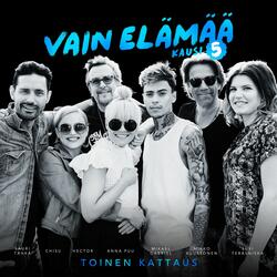 Abrakadabra (Vain elämää kausi 5)