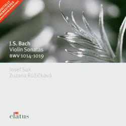 Bach, JS: Violin Sonata No. 5 in F Minor, BWV 1018: IV. Vivace