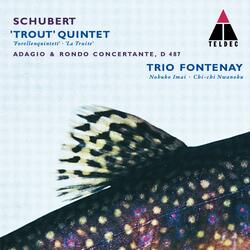 Schubert: Piano Quintet in A Major, Op. Posth. 114, D. 667 "The Trout": II. Andante