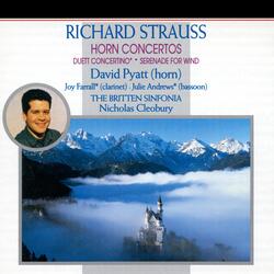 Strauss, R: Horn Concerto No. 1 in E-Flat Major, Op. 11: I. Allegro
