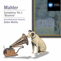 Mahler: Symphony No. 1 in D Major "Titan": V. Stürmisch bewegt