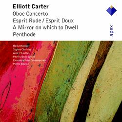 Carter: A Mirror on Which to Dwell: III. Sandpiper