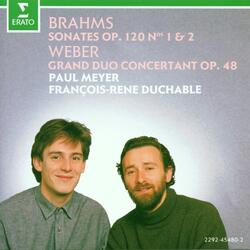 Brahms: Clarinet Sonata No. 1 in F Minor, Op. 120 No. 1: I. Allegro appassionato