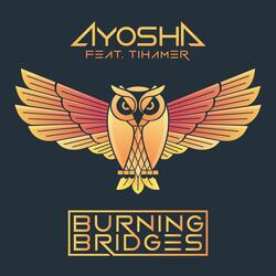 Burning Bridges (feat. Tihamer)