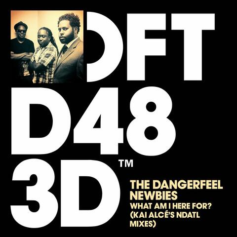 The DangerFeel Newbies