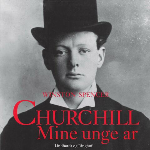 Mine unge år