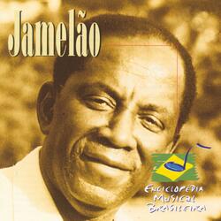 Quem samba fica