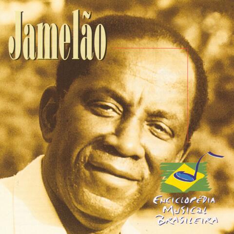 Enciclopédia Musical Brasileira