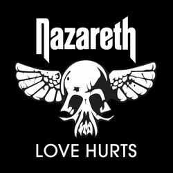 Love Hurts (Re-Recorded)