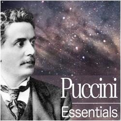 Puccini : Crisantemi