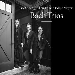 Sonata for Viola da Gamba No. 3 in G Minor, BWV 1029: I. Vivace