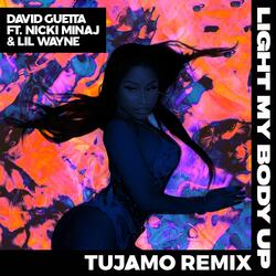 Light My Body Up (feat. Nicki Minaj & Lil Wayne)