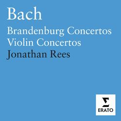 Bach, JS: Brandenburg Concerto No. 1 in F Major, BWV 1046: II. Adagio