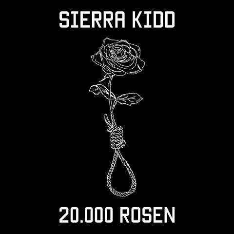 20.000 Rosen