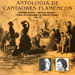 Platiqué con ella un rato (con Antonio Piñana (Hijo)) [Cantes de El Pajarito a Pedro el Morato]