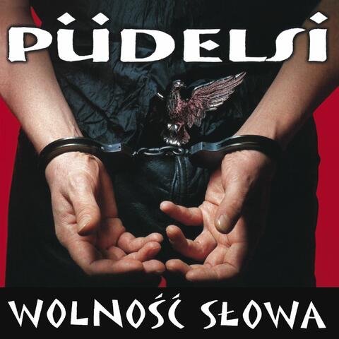 Pudelsi