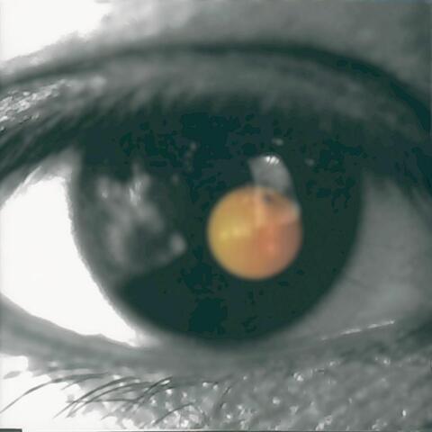 Black Tangerine