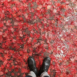 Autumn: Let Him Leave You