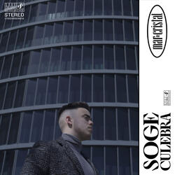 Ángel de compañía